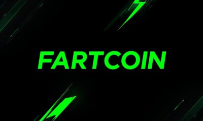 Top holders accumulation chart: 100 million FARTCOIN tokens added in last month
